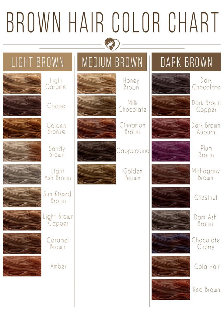 Light Brown Hair Color Chart #brownhair #brunette ❤️ Brown hair color chart is your guide to find the perfect brunette shade! Light, medium, and dark ideas for brunettes are here: from natural warm shades to pastel ash and cool chocolate tones. ❤️ See more: https://lovehairstyles.com/brown-hair-color-chart/ #lovehairstyles #hair #hairstyles #haircuts Brown Hair Dye Colors Shades, Levels Of Brown Hair Chart, Level 5 Golden Brown Hair, Hair Color Ideas Cinnamon Brown, Brown Shades Of Hair Color, Brown Colors For Hair, #30 Hair Color, Dyed Hair Light Brown, Dyed Brown Hair Ideas