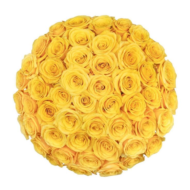 a bouquet of yellow roses arranged in a round arrangement on a white background with room for text