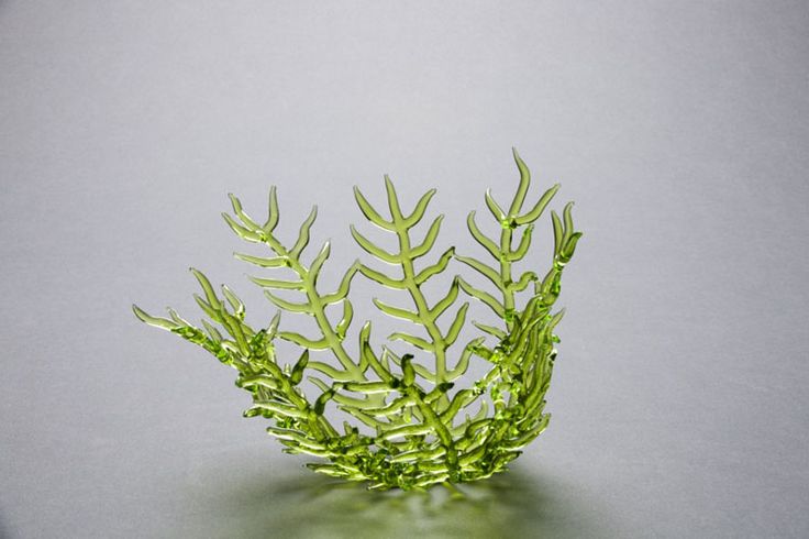 a small green plant sitting on top of a table