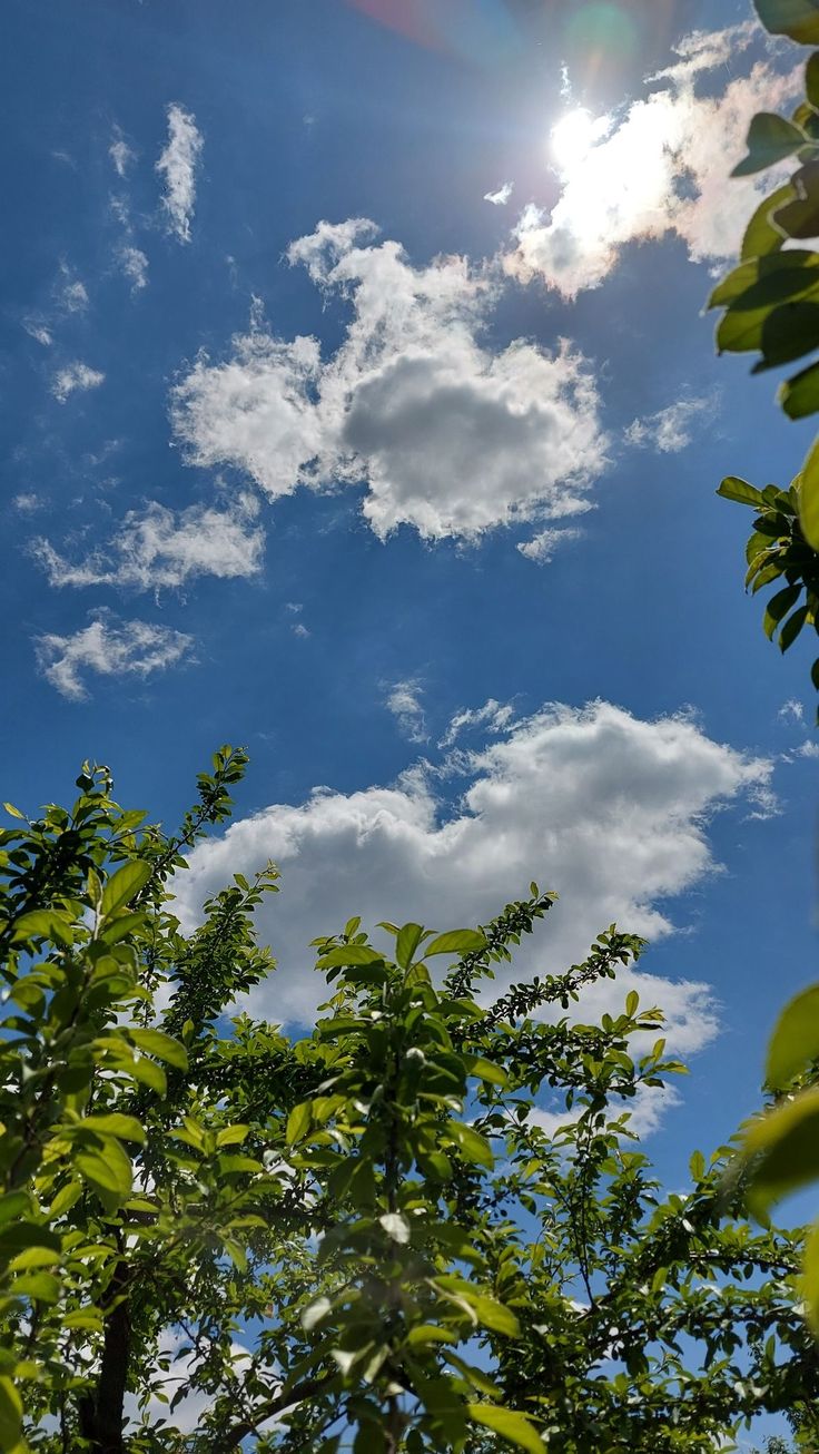 the sun shines brightly through the clouds in the blue sky above some green trees