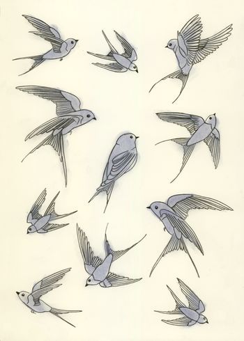 a bunch of birds that are flying in the air