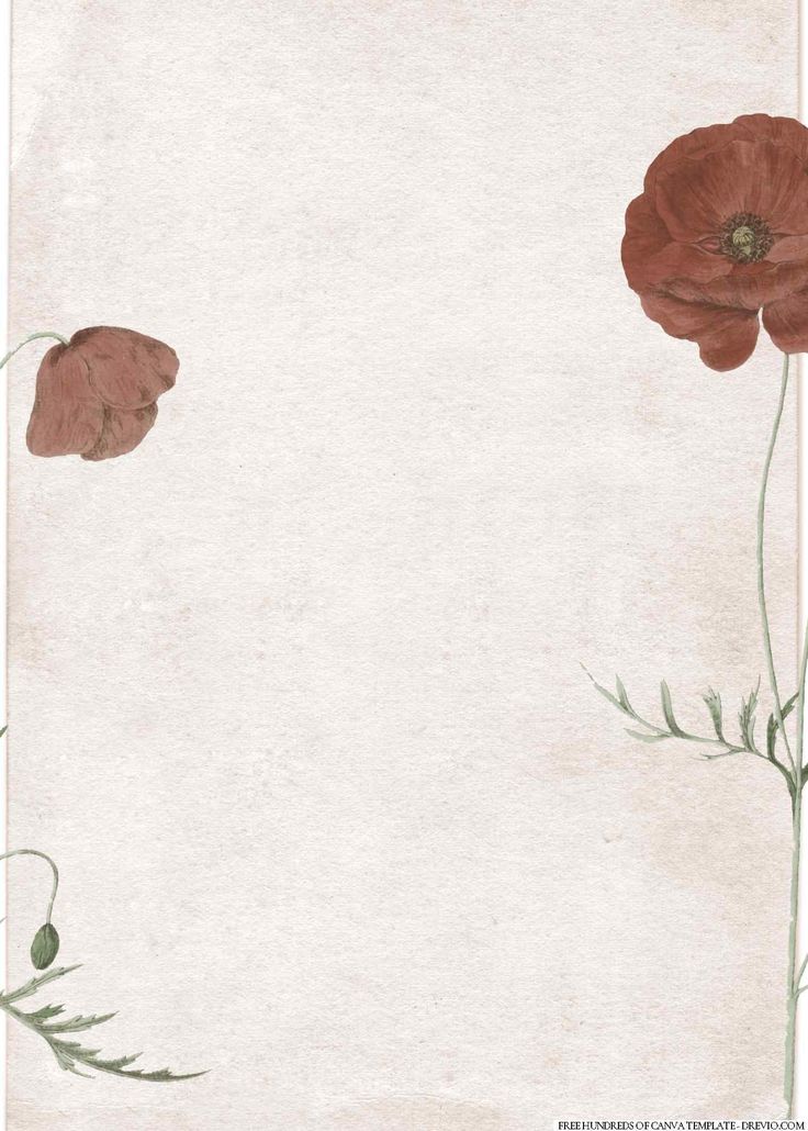 two red flowers on white paper with green stems