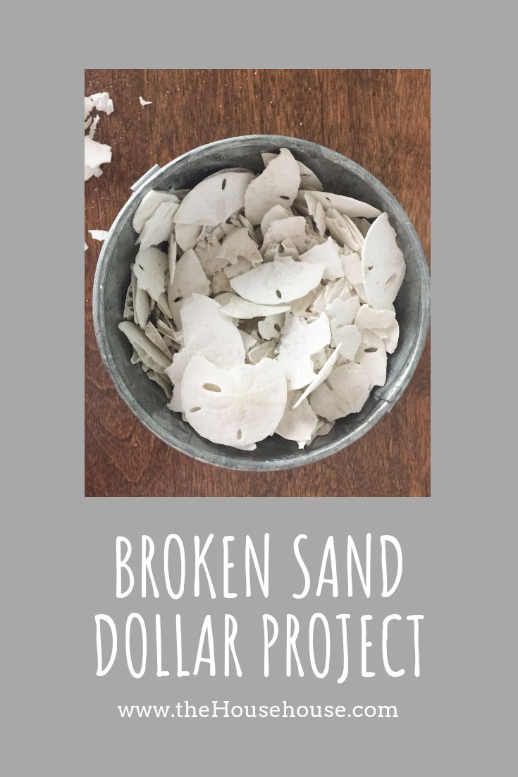 broken sand dollar project in a bowl on top of a wooden table with text overlay that reads, broken sand dollar project