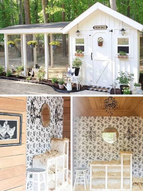 several pictures of the outside of a small house with flowers and plants in it, including an outhouse