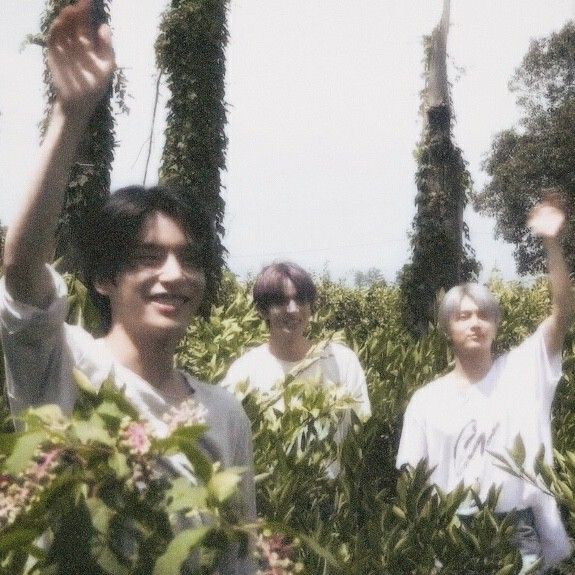 three people standing in the middle of some bushes and trees with their hands up to the sky