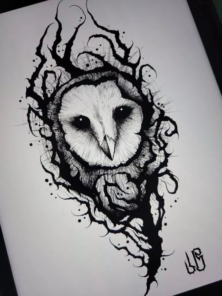 an ink drawing of an owl's face