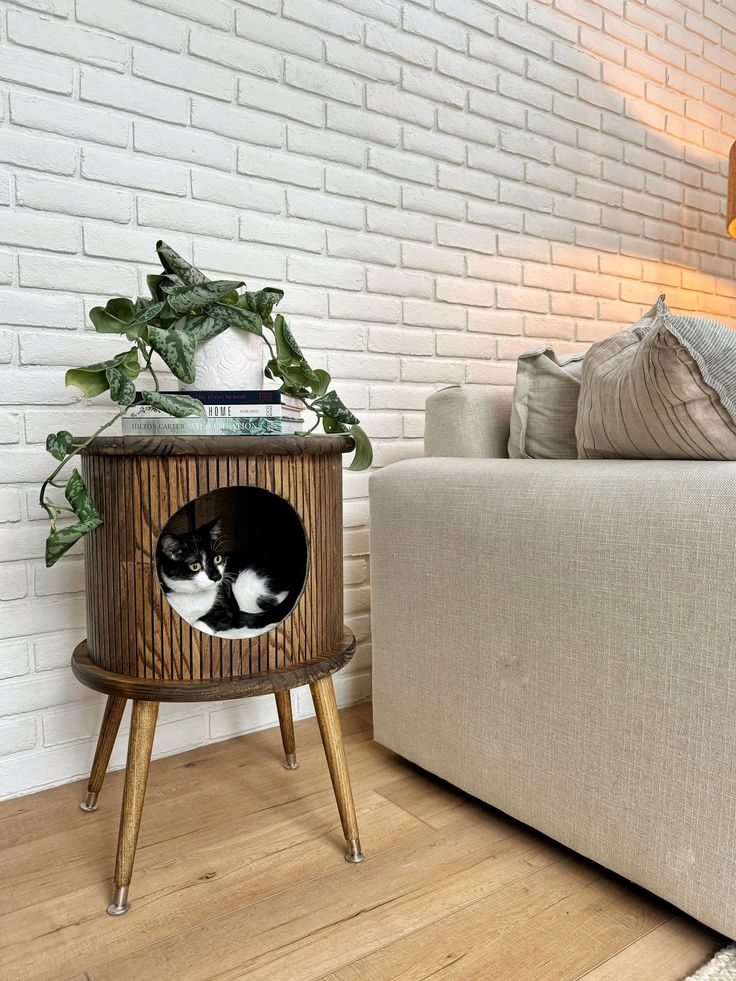 two black and white cats sitting in a basket on a table next to a couch