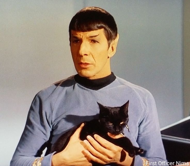 the man is holding a black cat in his hands while wearing a star trek uniform