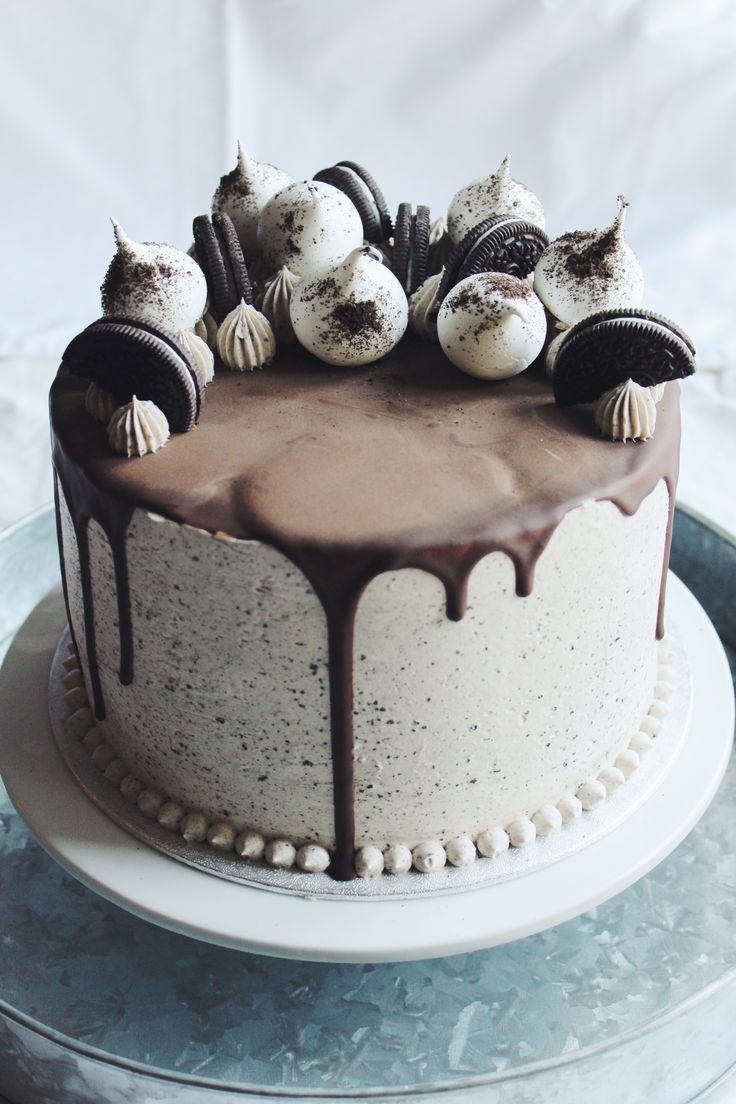 there is a chocolate cake with white frosting and sea shells on the top it