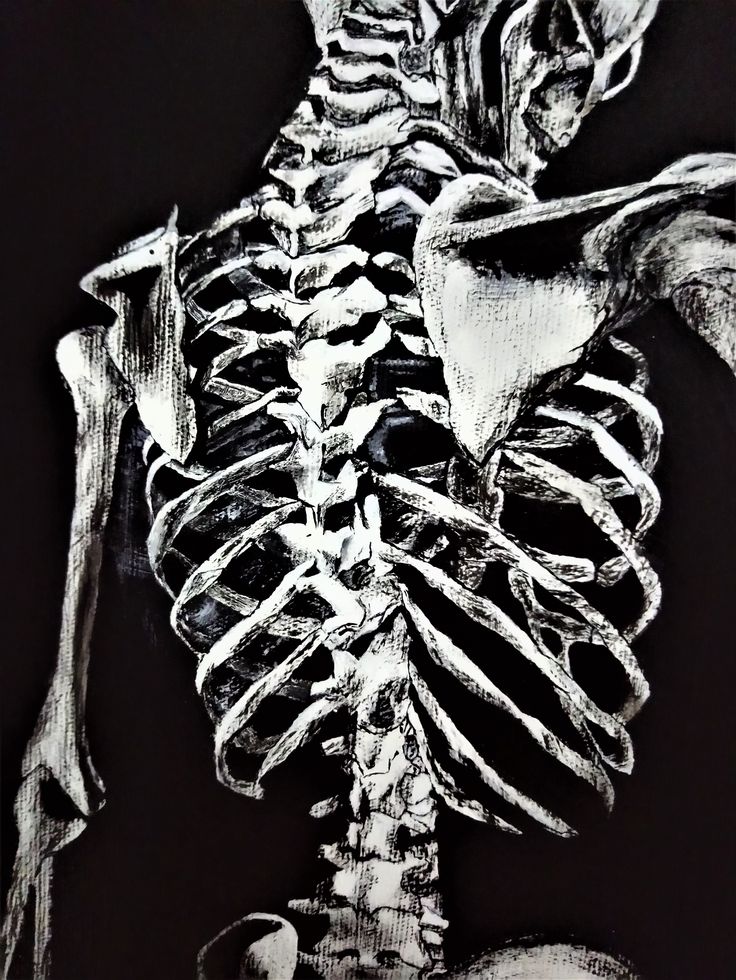 a black and white drawing of a skeleton