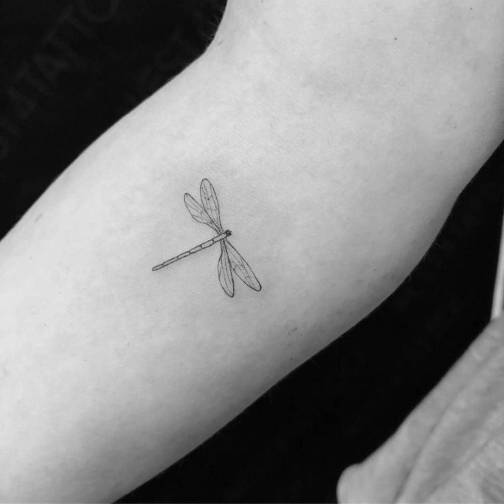 a black and white photo of a dragonfly tattoo on the left arm, with a pencil in it's right hand