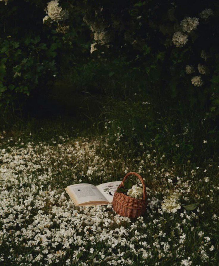 an open book laying on the ground with flowers around it and a wicker basket