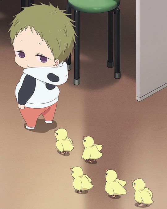 a little boy is standing in front of some small yellow chicks and looking at them