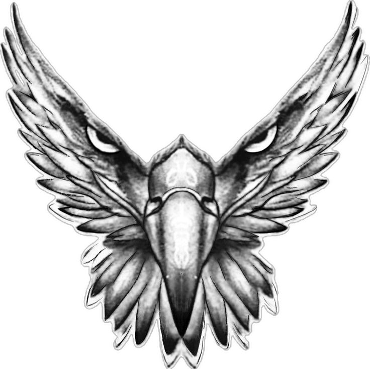 an eagle's head with wings spread out to the side, in black and white