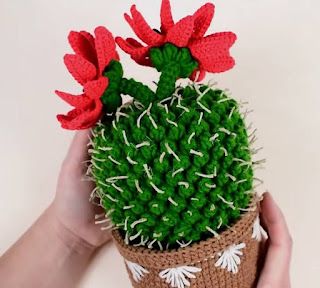 a hand holding a crocheted cactus with red flowers