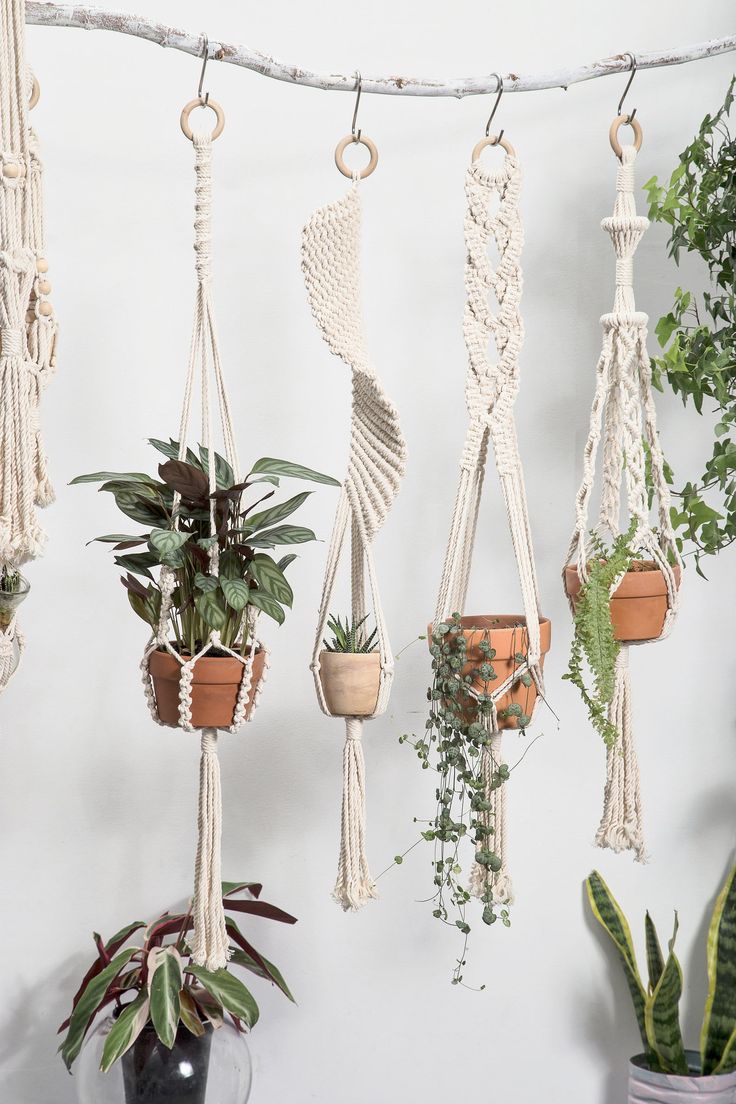 macrame plant hangers with plants in them on a white wall next to a potted plant