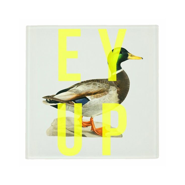 a duck sitting on top of a yellow and white sticker that says ye up