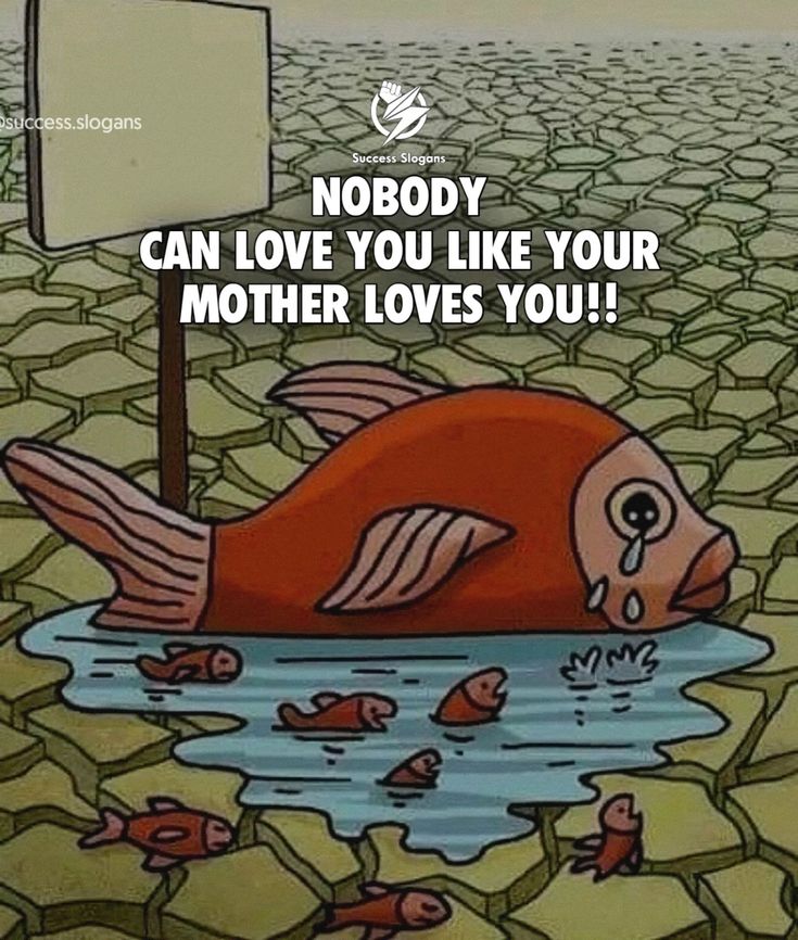 an image of a cartoon fish in the water with caption saying nobody can love you like your mother loves you