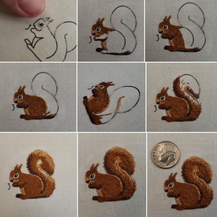 several pictures of different squirrels with their tails curled up to the side, and one is