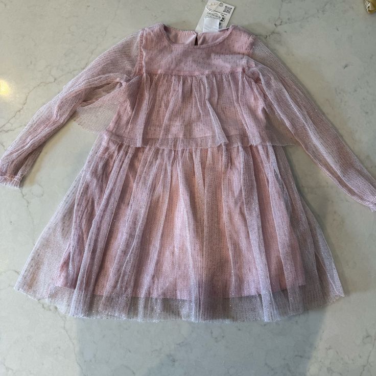 Nwt! Zara Girls Dress! Color Pink, Size 4-5 Years Spring Holiday Pink Dress With Ruffles, Cute Long Sleeve Holiday Dress For Party, Spring Holiday Dress With Pink Ruffles, Cute Long Sleeve Holiday Party Dress, Spring Holiday Dress With Ruffles For Dress-up, Spring Long Sleeve Ruffled Tutu Dress, Silver Long Sleeve Spring Dress, Silver Long Sleeve Dresses For Spring, Zara Dresses For Spring Dress-up