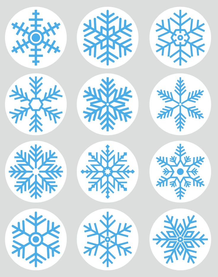 six snowflakes are shown in blue and white