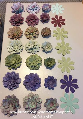 several different types of succulents are displayed on a white table with purple and green flowers