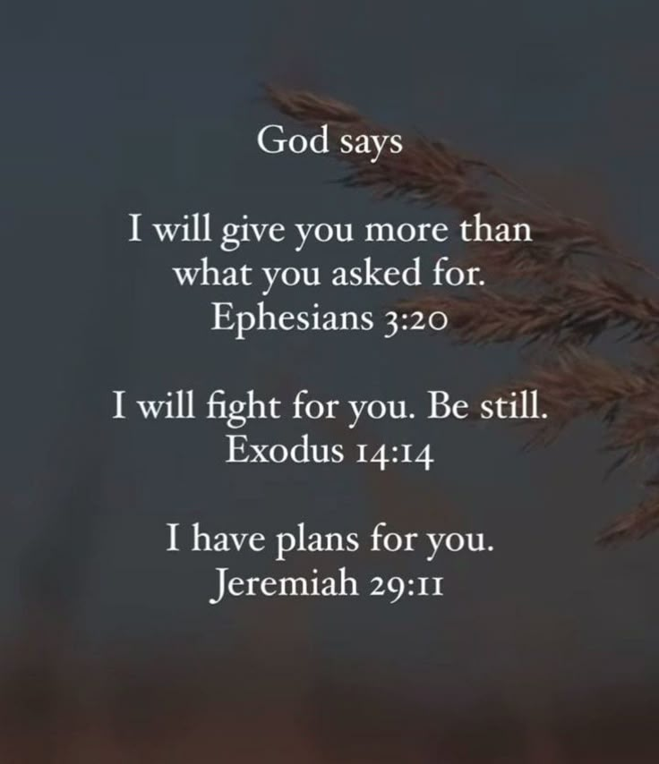 an image with the words god says i will give you more than what you asked for ephesians