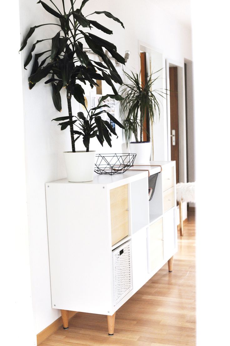 a plant is on top of a white cabinet