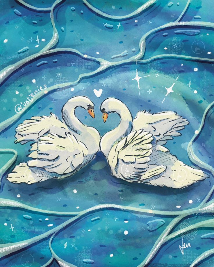 two white swans floating on top of water