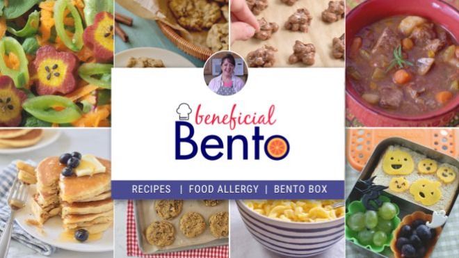 Beneficial Bento -gluten free, food allergy, low carb, bento box