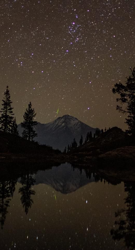 the night sky with stars and trees reflected in water