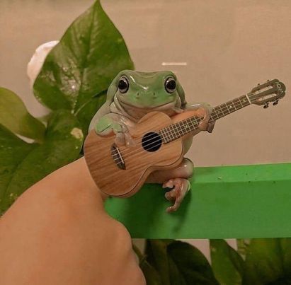 a frog sitting on top of a wooden ukulele