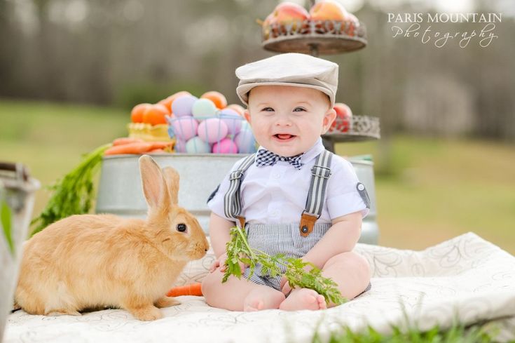 a baby boy sitting next to a rabbit