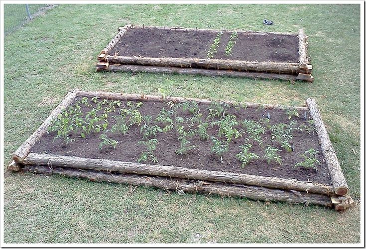 two raised beds with plants growing in them on the grass, and one is made out of logs