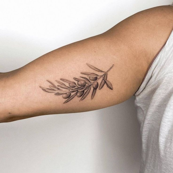 an olive branch tattoo on the arm