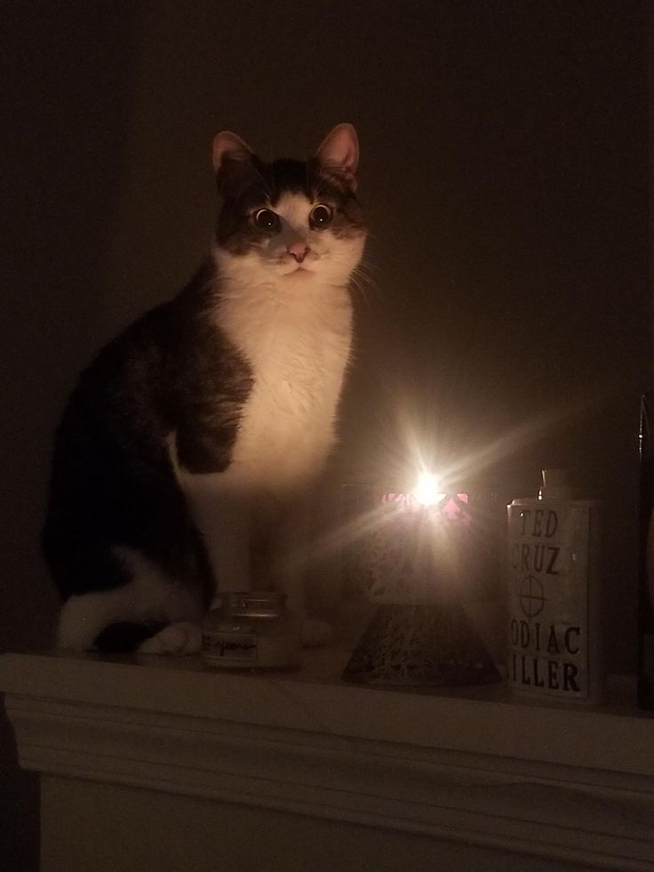 a cat sitting on top of a mantle next to a lit candle