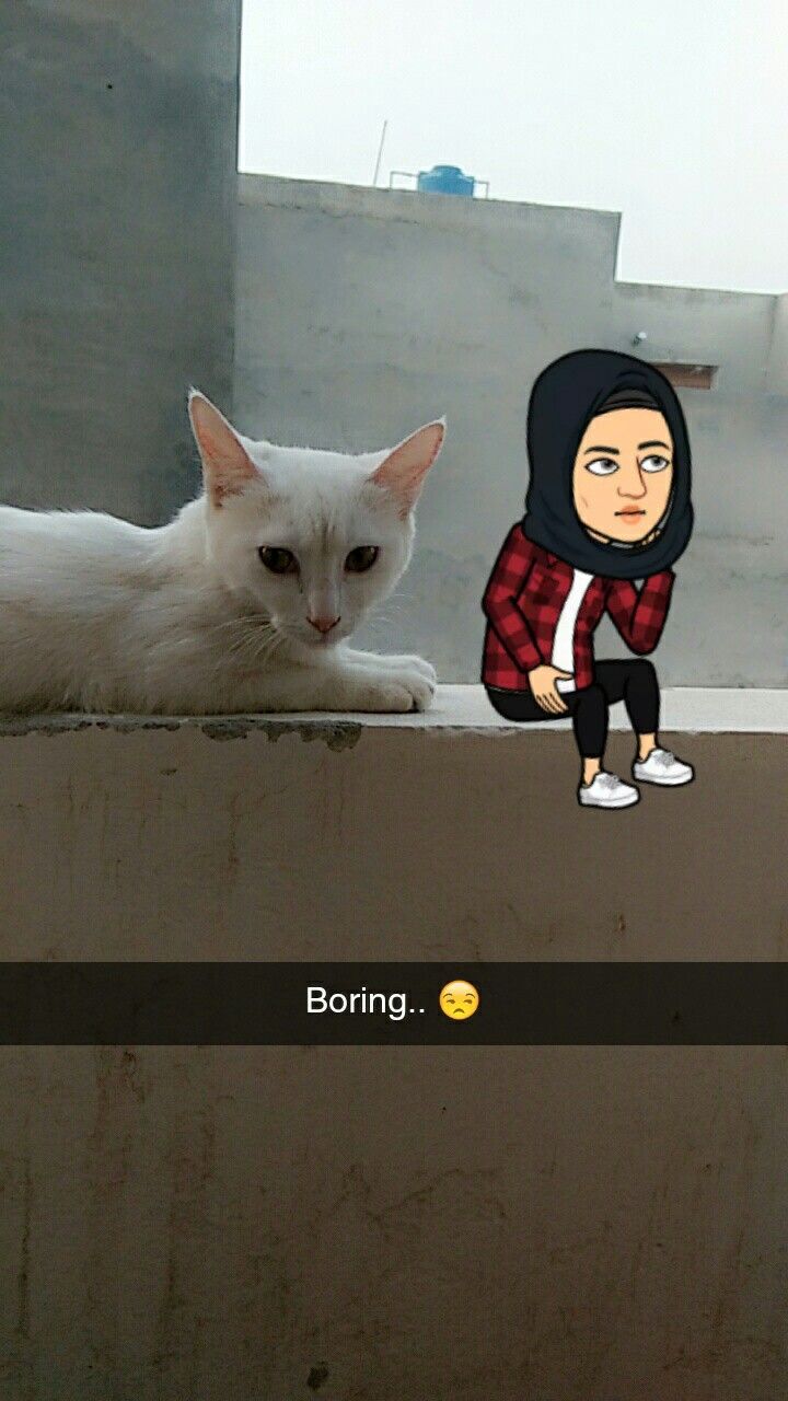 a white cat laying on top of a cement wall next to a cartoon character wearing a hoodie