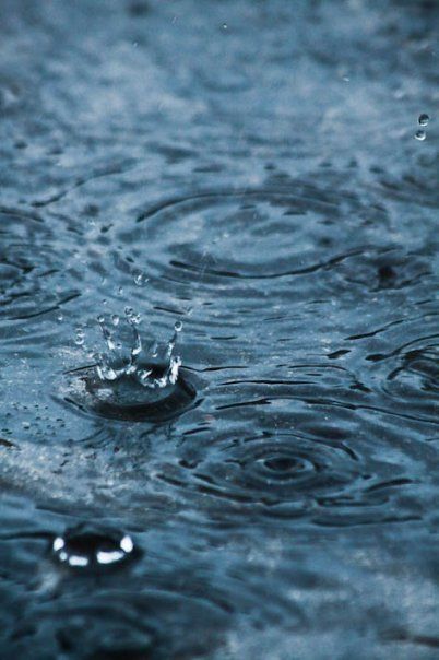 rain drops are falling onto the ground and creating circles in the water that make them appear to be floating