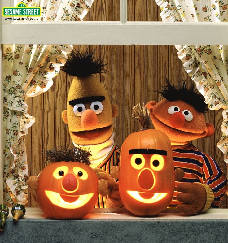 sesame and bert pumpkins on display in front of a window with the faces carved into them