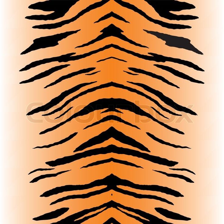 an orange and black tiger stripe pattern on a white background stock photo - image 3497