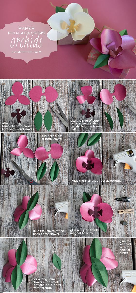 how to make paper flowers that look like tulips