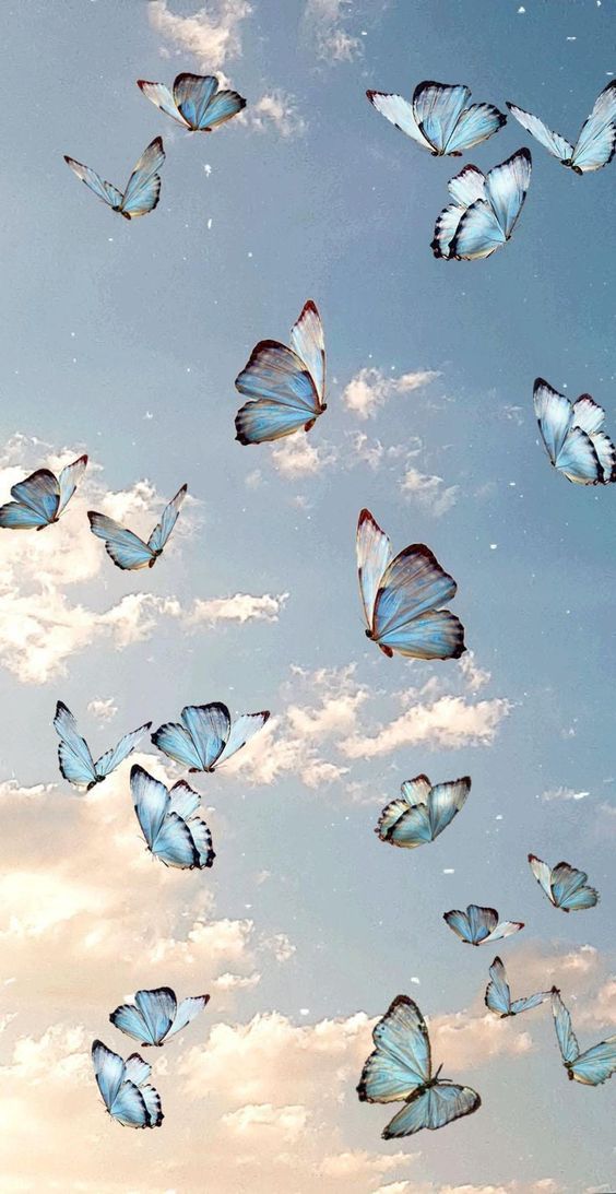 many blue butterflies flying in the sky