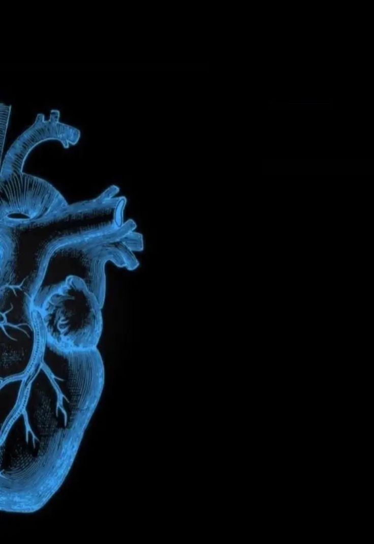 an x - ray image of a human heart in blue on black background with clippings