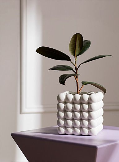 a potted plant sitting on top of a purple table with marshmallows