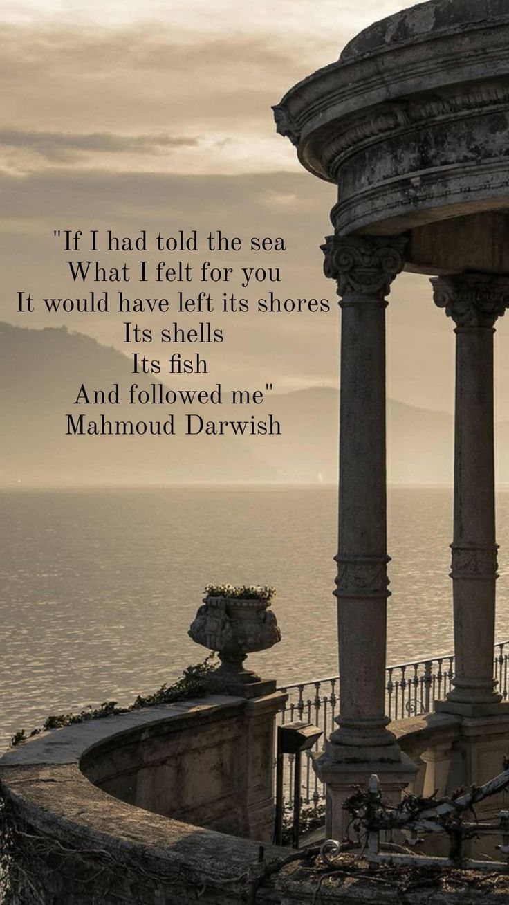 Mahmoud Darwish, Poetic Quote, Arabic Poetry, Best Quotes From Books, Literature Quotes, Stranger Things Season, Literary Quotes, Poem Quotes, Poetry Quotes