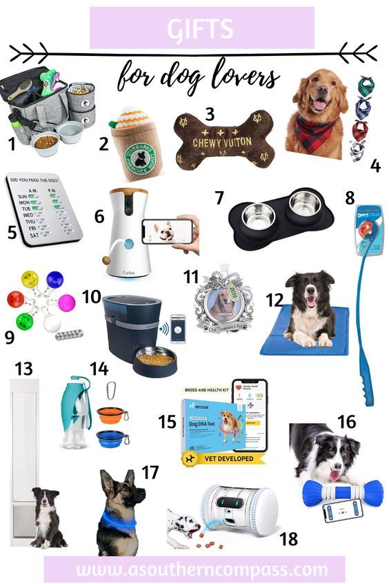 gifts for dog lovers with pictures and text that says, gift ideas for dogs over the top