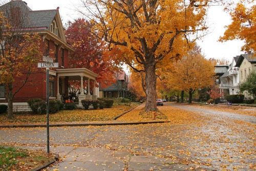 a street with houses and trees in the fall