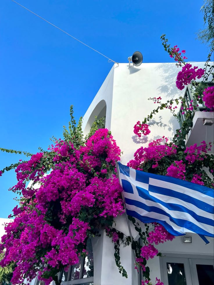 purple flowers are growing on the side of a white building with blue and white stripes