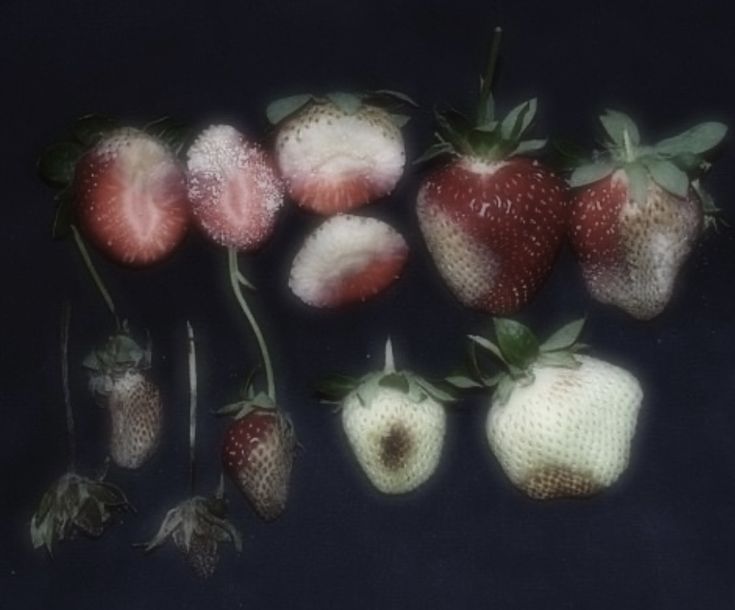 a group of strawberries sitting next to each other on top of a black surface