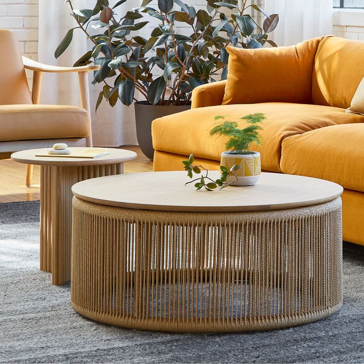 a living room filled with furniture and a plant in the middle of the room on top of a coffee table